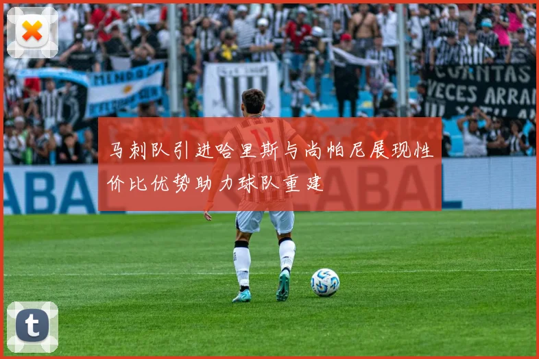 马刺队引进哈里斯与尚帕尼展现性价比优势助力球队重建